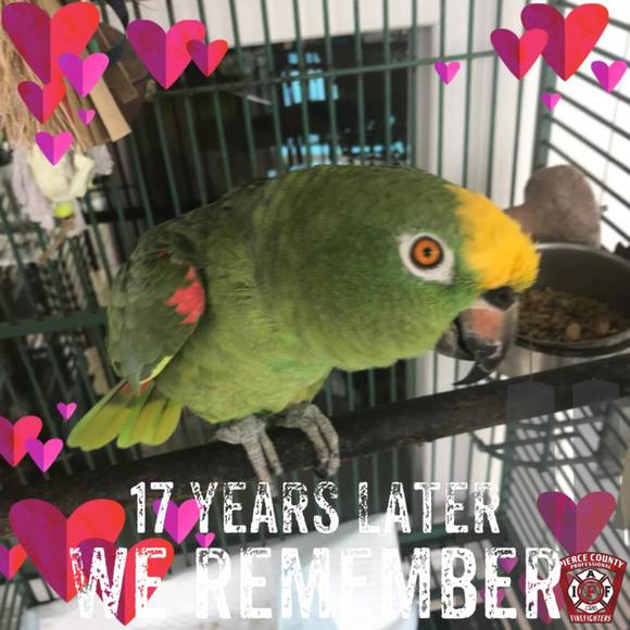 Meet your Posher, Lorrine - Picture 1 of 1